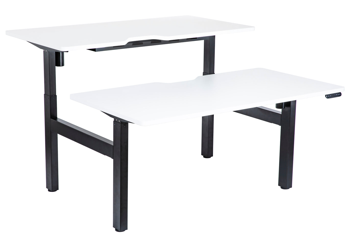 Electric Height Adjustable Back to Back Scallop Top Desks